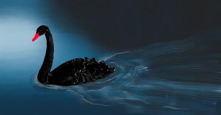 Winston-Black-Swan-Coronavirus-Covid-19-2400x1260-1